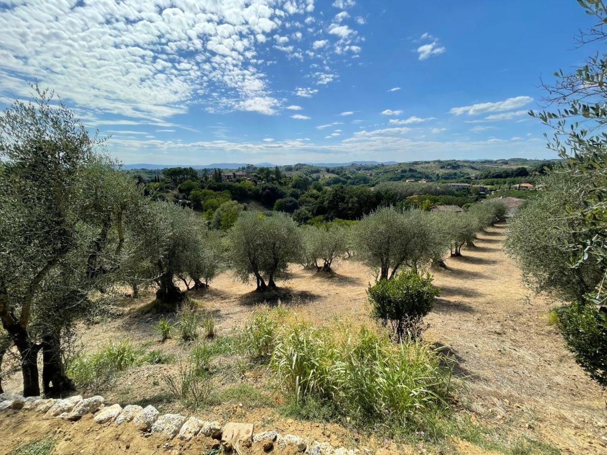 Oliveta Del Verde Appartamento Con Grande Giardino 500Mt Dal Centro Siena Exterior foto